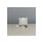 EBS3D Persian Cat (Pers Kedisi) Miniş 3D Baskı | Sevimli Miniş Figür Oyuncak