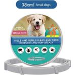 Ebulduk Kedi-Köpek Anti Pire Kene Önleyici Tasma- 38 Cm Pire Önleyici Tasma-Kene Önleyici Tasma