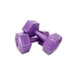 Ecgspor 2x5 kg Mor Dambıl Seti