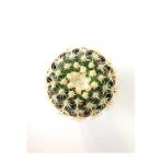 Echinocactus Grusonii Altın Fıçı Kaktüs Terakota Saksı Ile Birlikte 10.5 cm Rf28