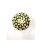 Echinocactus Grusonii Altın Fıçı Kaktüs Terakota Saksı Ile Birlikte 10.5 cm Rf28