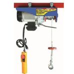 Echolift 500 1000 kg Mini Elektrikli Vinç