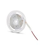 Eco Lounge 5 Metre NOAS YL40 4003 İç Mekan 12V Mavi Şerit Led