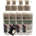 Eco Lounge Hoodia Herbal Extracts Hot Slimming 4AD &tight Sıkılaştırıcı Masaj Kremi 150 Ml+ Jel