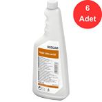 Ecolab Copper Shine Special Pirinç, Bakır, Bronz Ve Gümüşler İçin Parlatma Maddesi 500 Ml. X 6 Adet