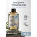 ECOLATIER Onarıcı Şampuan Yıpranmış Saçlar İçin %97,8 Doğal Şampuan Argan Yağı ve Yasemin Özü, 600 ml