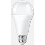 Ecolite A80 16 Watt E27 6500K Led Classic Ampul