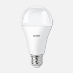 Ecolite Classic 15 W Sarı Klasik E27 Duy Led Ampul