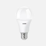 Ecolite Led A60 12 W Beyaz Klasik E27 Duy 3'lü Led Ampul