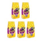 Econature 5x1 kg Gurme Yetişkin Kedi Maması