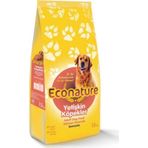 Econature Somonlu Yetişkin 1 kg Açık Köpek Maması