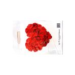 ECOPLAST Takviyeli Renkli Baskılı Thankyou Mağaza Poşeti No:2 26x38cm 50 Adet