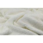 Ecottonworks Krem Wellsoft Bebek Battaniyesi