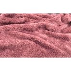 Ecottonworks Wellsoft Kedi Köpek Battaniyesi Gülkurusu Renk 70 cm x 90 cm - 70 x 90 cm - Gül Kurusu