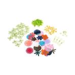 Ecovibe 350411, Çiçekli Yaratıcılık Seti, 32 Adet Doku, 16 Adet Pistil, 16 Adet Çiçek Sapı, 16 Özel Çiçekli Tasarım, Dekoratif Obje Yapımı - Option-1