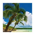 Ecovibe Heye Puzzle Paradise 2000 Parça Panorama - 01-Mavi