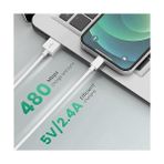 Ecovibe Lightning USB Girişli 3.0 Hızlı Şarj Aleti, Yüksek Hızda Şarj Eder. Güvenli Şarj Için Akım Korumalı, Telefonunuzu Tanır ve Maksimum Hızda Şarj Eder. Lightning Girişli Cihazlar Için Uyumlu - 001-Renkli