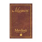 Ecovibe Mesnevi - Option-1