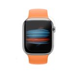 Ecr Mobile Apple Watch 9.Nesil 45mm Akıllı Saat Ekran Koruyucu Film(2 Adet)