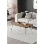 ED Efelez Design Orta Sehpa Metal Ayaklı , Roma Orta Sehpa , Gümüş Metal - Atlantik Çam Tabla