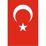 Eda Bayrakçı 50X75 cm Türk Bayrağı