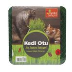 Eden Zirai Kedi Otu