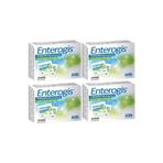 Edis Pharma 10 Saşe 4 Adet Enterogis