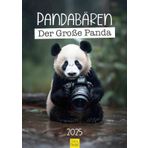 Edition Seidel Premium Takvim Panda Ayısı 2025 Format DIN A3 Duvar Takvimi Hayvan Takvimi Büyük Panda Panda Ayı Memeli Bambu Orman