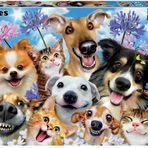 Educa Borras - Fun in the Sun Selfie 500 piece Jigsaw Puzzle