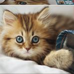 Educa Kitten 200 Parça Çocuk Puzzle