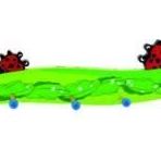 Edutoys Uğur Böceği Figürlü Askılık