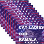 EEDSEE 10 paket kedi bayanlar Kamala çıkartmalar vinil çıkartmalar dizüstü çıkartması araba tampon pencere kask su şişesi su geçirmez etiket