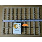 EFE KULUÇKA MAKİNELERİ Kaz Yumurta Viyol