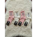 Efem İç Giyim Tedy-Bear Desenli 2 Renk Kolej Çorap 12'li Paket - 35 - 40 - Çok Renkli