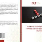 Effet des conditions aux limites sur une décharge filamentaire