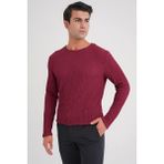 Efor Erkek Slim Fit Pamuklu Dokulu Kumaş Uzun Kollu Bordo Tişört TS 916