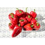 Efsun Salçalık Yağlık Kapya Biber Tohumu (10 Gr.)