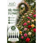EGE GARDEN 5’li Karışık Gül Fidanı Tüplü Köklü Bahçe Gülü Seti