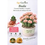EGE GARDEN Crassula Buddha’s Temple Sukulent Nadir Tür Saksı Bitkisi canlı