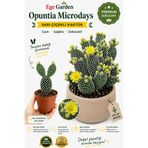 EGE GARDEN Tavşan Kulağı Opuntia Microdays Sarı Çiçekli Kaktüs