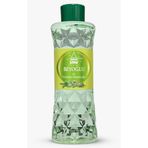 ege salkım Tarihi Beyoğlu 1923 Yağmur Ormanları Kolonyası 400 ML - Özel Tasarım Plastik Şişe - 70 Derece - Ferahlatıcı ve Odunsu Çam Kokusu