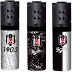 Ege Turbo Taraftar Çakmak Beşiktaş 3 Lü Set ( 1 adet Seramik Küllük Hediye )