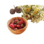 Egedeneve Zeytin Ağacı 12cm Düz Kase