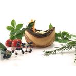 Egedeneve Zeytin Ağacı 15 cm Kütüklü Kase