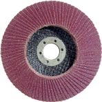 Egesan 115 mm 80 Kum Flap Disk