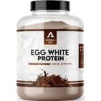 Egg White Powder Protein Tozu 2400 gr 80 Servis Çikolata