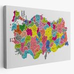 Eğitici İl ve İlçe Detaylı Türkiye Haritası, Harita Dekoratif Kanvas Tablo, Duvar Dekoru 3024