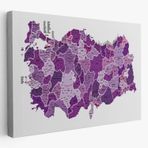 Eğitici İl ve İlçe Detaylı Türkiye Haritası, Harita Dekoratif Kanvas Tablo, Duvar Dekoru 3025