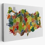 Eğitici İl ve İlçe Detaylı Türkiye Haritası, Harita Dekoratif Kanvas Tablo, Duvar Dekoru 3028