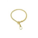 Egitim Serisi Zincirli Kopek Boyun Tasmasi 3,5X55 Cm - Gold